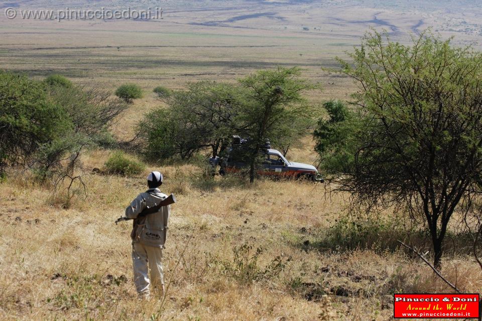 Ethiopia - Netch Sar Park - 61 - Nechisar.jpg